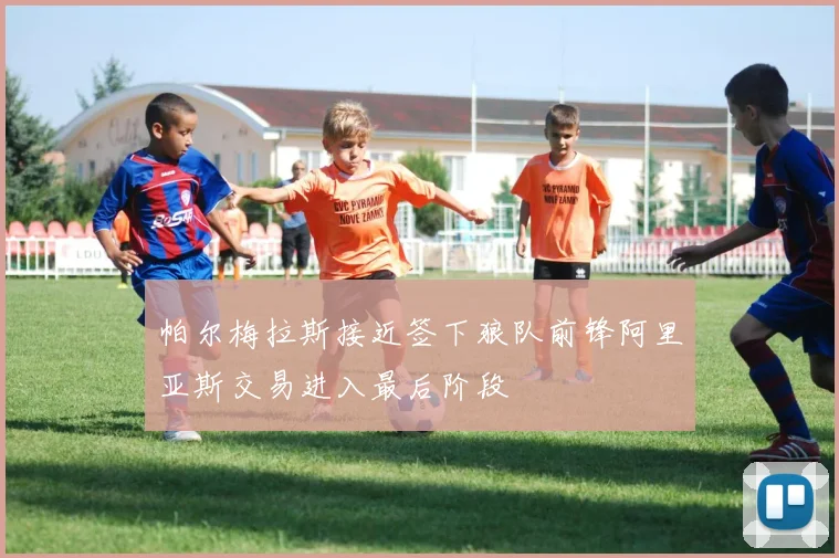 帕尔梅拉斯接近签下狼队前锋阿里亚斯交易进入最后阶段