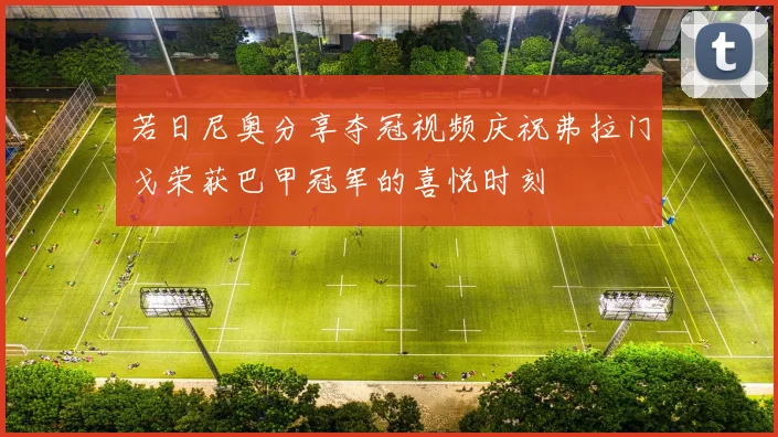 若日尼奥分享夺冠视频庆祝弗拉门戈荣获巴甲冠军的喜悦时刻