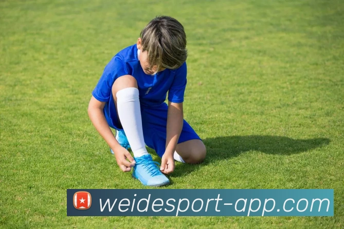 伟德体育APP 高清赛事图